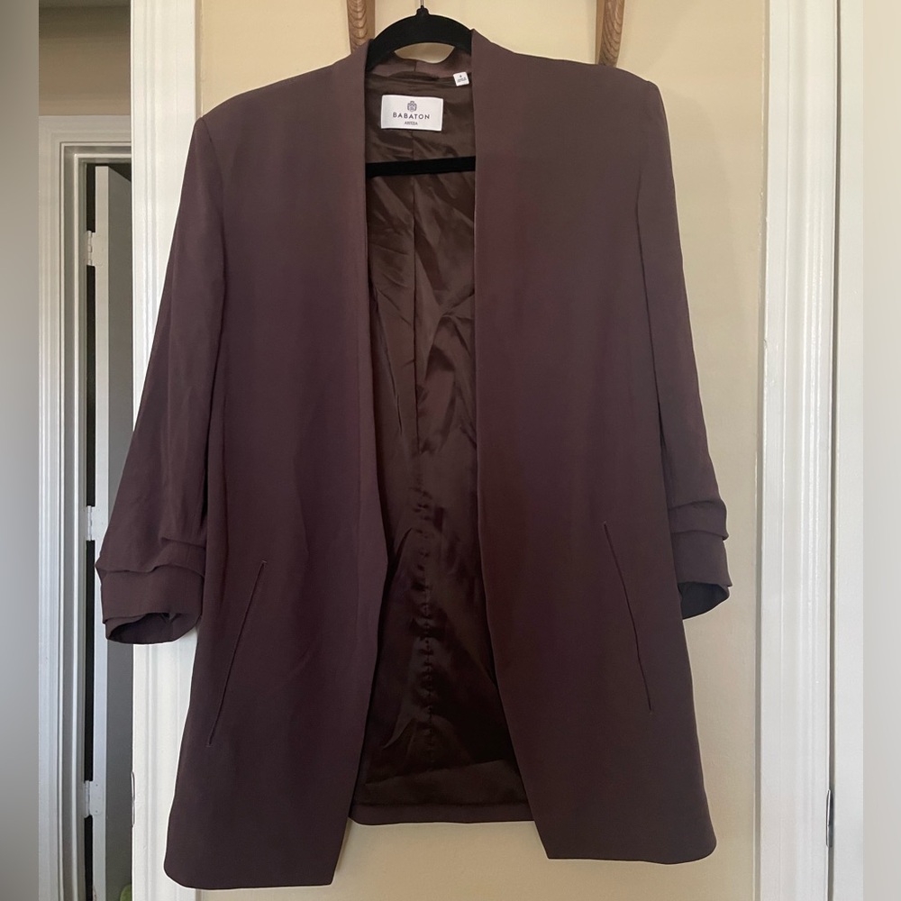 Aritzia Babaton Power Blazer